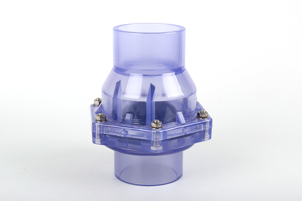 蔚县透明翻板式止回阀